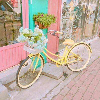 澳门mgm娱乐官网app下载