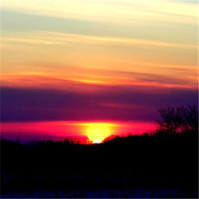 亚虎娱乐下载手机版