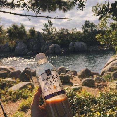 管家婆期期四肖四码中特管家下载手机版