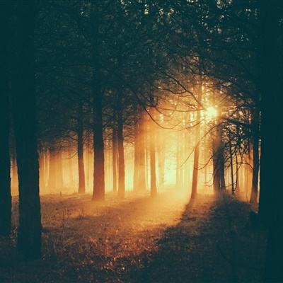 亚虎娱乐下载手机版截图