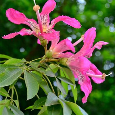 梭哈游戏下载下载手机版