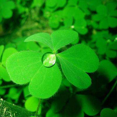 新澳门六开彩资料大全app下载