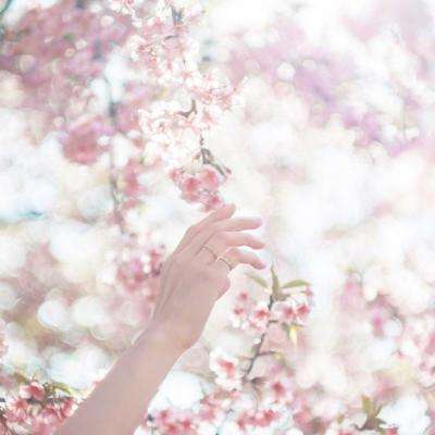 天下彩网站下载手机版